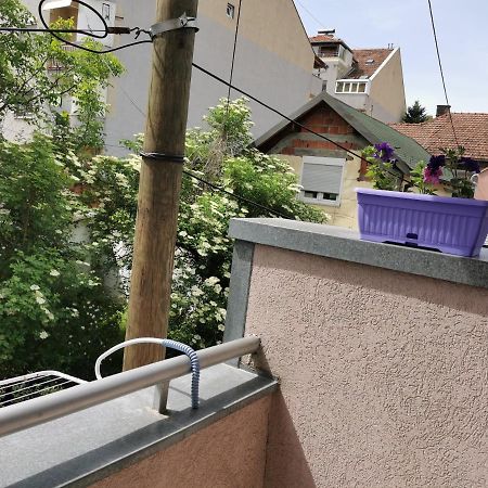 Apartmani Milica Kruševac Extérieur photo